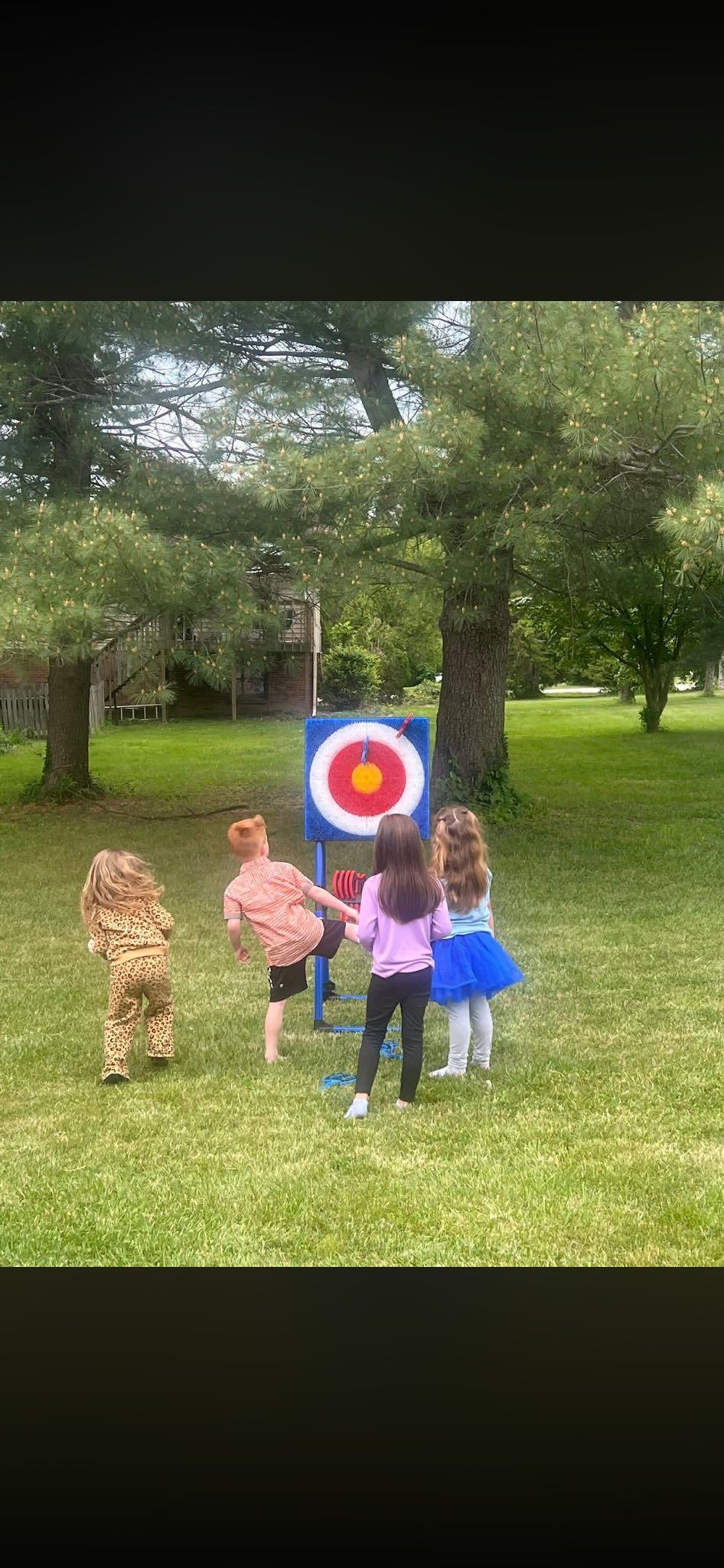 Ax Throwing Game